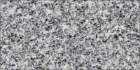 Cordoba Grey Granite Image