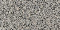 Gris Mara Granite Image