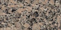 Rosa Salmone Granite Image