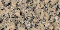 Amarelo Gaucho Granite Image