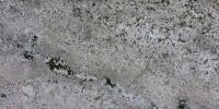 Bianco Antico Granite Image
