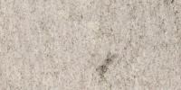 Branco Polar Granite Image