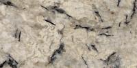 Crema Antartida Granite Image