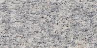 Ipanema White Granite Image