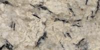 Persian Pearl Granite Image