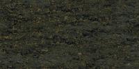 Seaweed Green Granite Image