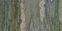 Verde Boqueirao Granite Image