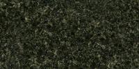 Prairie Green Granite Image