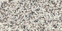 Bianco Arun Granite Image