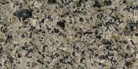 Blue Leopard Granite Image