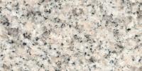 Plum Blossom Granite Image