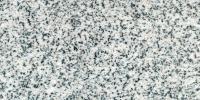 Sesame White Granite Image