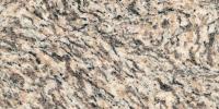 Tiger Skin White Granite Image