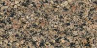 India Brocatello Granite Image