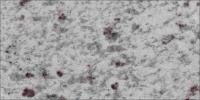 Leopard White Granite Image