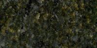 Seaweed Green Granite Image