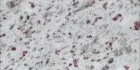 White Galaxy Granite Image