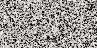 Aurina Bianco Granite Image