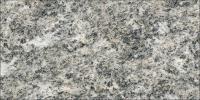 Beola Grigia Granite Image