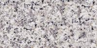 Bianco Montorfano Granite Image