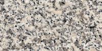 Bianco Sardo Granite Image