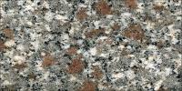 Ghiandone Limbara Granite Image