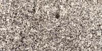 Grigio_dell Elba Granite Image