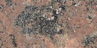 Marron Sparviero Granite Image