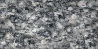 Serizzo Scuro Valmasino Granite Image