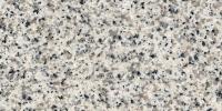 Saudi Bianco Granite Image