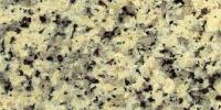 Blanco Caceres Granite Image