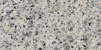 Blanco Castilla Granite Image