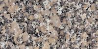 Gris Mondariz Granite Image