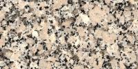 Gris Perla Crema Granite Image