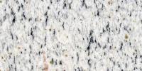 Camelia White Granite Image