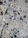 Alaska White Granite Image