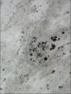 Andromeda White Granite Image