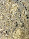 Bianco Romano Granite Image