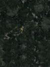 Butterfly Green Granite Image