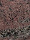 Cobra Red Granite Image