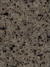 Desert Eyes Granite Image