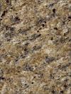 Giallo Veneziano Gold Granite Image
