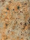 Ivory Brown Granite Image