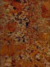 Juparana Bordeaux Granite Image