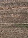 Madras Silk Granite Image