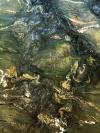 Picasso Green Granite Image