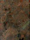 Rosso Fuoco Granite Image