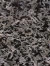 Saint Louis Granite Image