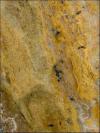 Supreme Gold Granite Image