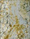 Yellow River Granite Image